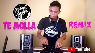 DJ TE MOLLA ARNON Ft KILLUA Remix Viral   DJ Tiktok Terbaru [upl. by Scottie848]