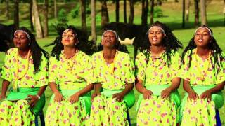 New Afan oromo music 2015 Dammitu Gabbitaa dhiigni keenya tokko [upl. by Miuqaoj166]