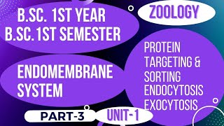 Endomembrane system  Protein targeting and sorting  Endocytosis and Exocytosis bsc 1st year unit 1 [upl. by Maidel950]