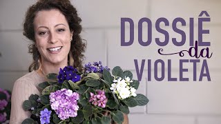 Como CUIDAR de VIOLETAS no vaso para FLORIR [upl. by Borroff]