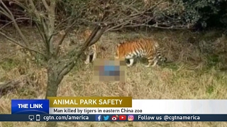 Recent animal attacks at parks and zoos worry many [upl. by Haswell]