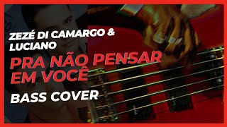 Zezé Di Camargo amp Luciano  Pra Não Pensar Em Você Bass Cover zezedicamargoeluciano sertanejo [upl. by Edson341]