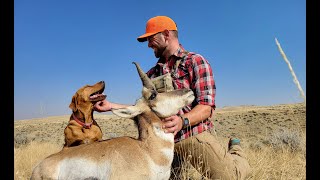 Pronghorn Hunting Wyoming 2024 [upl. by Guenna]