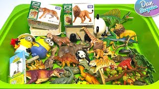 BOX FULL OF DINOSAURS ANIMALS ACTION FIGURES CARS and More [upl. by Mossman]