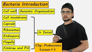 Structures Present in Bacteria And their Functions  Prokaryotes [upl. by Enelyaj17]