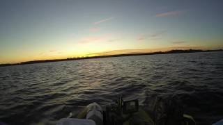 CraigCat at Sunrise Over Lake Hartwell SC  161011 [upl. by Ayle]