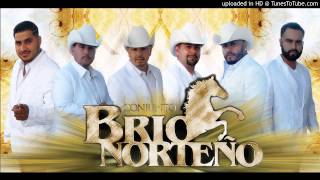 Definitivamente  Conjunto Brio Norteno [upl. by Narda150]