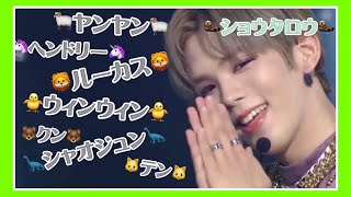 【NCT】愛おしさ1125の🦦を可愛がる🐻🐱🐥🦁🦕🦄🐏 WayV編 [upl. by Zwiebel]