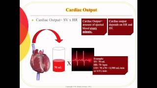 hemodynamic [upl. by Holms]