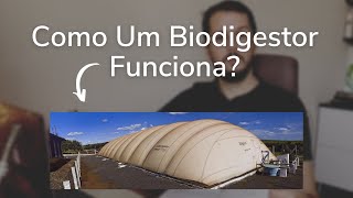 Como Um Biodigestor Funciona [upl. by Hamford]