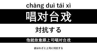 中国人がよく使う習慣用語201～210【例文付き】 [upl. by Lonier]