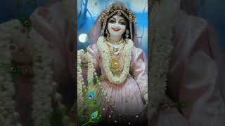 Barsane Ki Chatur gujariyaradharani bhajan sorts video viralvideo [upl. by Anaimad]