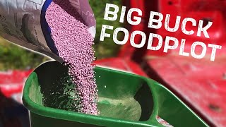 Planting a Big Buck Foodplot Big Tine Brassicas Foodplot [upl. by Ojela]