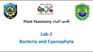 Section 1 Plant Taxonomy  Bacteria and Cyanophyta [upl. by Dorrie935]