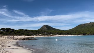 Cala Ratjada 💙 Cala Agulla 🏖️ wunderschön💙 Rundgang amp Fahrt 💙 Mallorca 🇪🇸bestes Wetter ☀️😎 [upl. by Llerrem724]