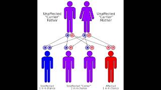 Friedreichs Ataxia  Causes Symptoms amp Mnemonics [upl. by Annohsak671]