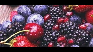 Delphinol  a DelphinidinEnriched Maqui Berry Extract Improves Bone Metabolism through NFkB [upl. by Nivlac802]