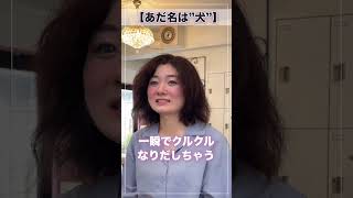 【くせ毛卒業】もう爆発しない…憧れのストレートヘアを手に入れよう！ カラー 美容室 美容師 カットモデル 美容師 髪質改善 [upl. by Notxam]