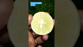 LEMON amp SUGAR FACIAL SCRUB SUGAR FACIAL SCRUB SKIN BRIGHTENING  SUGAR FACIAL scrub yt trend [upl. by Melany]