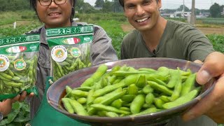 Edamame Farm  Japanese Superfood Snack Adventure ★ ONLY in JAPAN [upl. by Richmound]