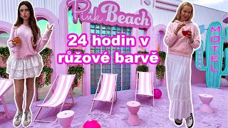 24 HODIN V RŮŽOVÉ BARVĚ CHALLENGE [upl. by Dawn229]