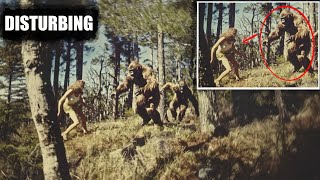 The Sasquatch Conspiracy  What They DONT Want You To Know  bigfoot 2024 [upl. by Neelloj675]