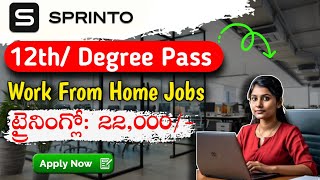 Sprinto 12thDegree Pass Jobs  Work From home Jobs  Training Stipend 22000 Jobs [upl. by Bill716]