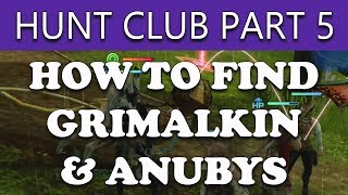 Final Fantasy XII The Zodiac Age How to Find GRIMALKIN amp ANUBYS RARES  The Hunt Club Part 5 [upl. by Nnylirej770]