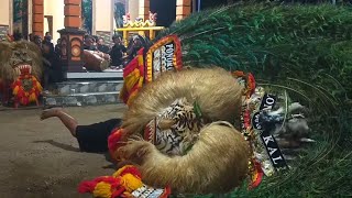 MERINDING❗PEMBARONG LEGEND REOG TERBESAR GEGERKAN DESA BULU LOR JAMBON PONOROGO barongan reog [upl. by Niawtna]