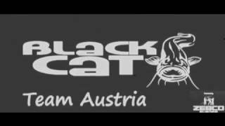 Black Cat Dip [upl. by Juliette]