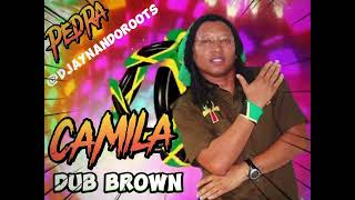 MELÔ DE CAMILA  DUB BROWN 2023 100REGGAE DO MARANHÃO 🇯🇲🇧🇷🇯🇲 [upl. by Enegue]