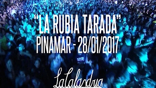 DIVIDIDOS  La Rubia Tarada Pinamar 28012017 [upl. by Petite]