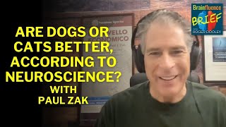 Are Dogs or Cats Better According to Neuroscience [upl. by Tavia674]