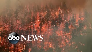 Wildfire spreads in northern California [upl. by Electra]