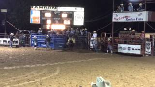 2014 Winnsboro UPRA Rodeo Bull Riding Highlights [upl. by Auguste209]