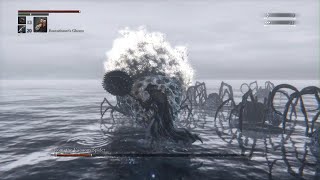 PS5 Bloodborne Rom The Vacuous Spider [upl. by Wade]