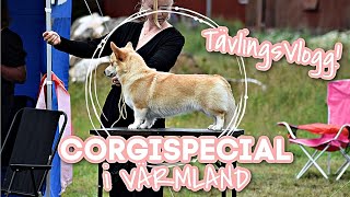 HUNDUTSTÄLLNING  Corgis i Värmland 2021  Lowis tävlar [upl. by Erdda512]