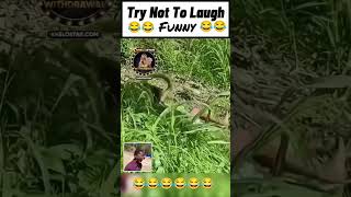 Try To Not Laugh 😂😂😂😂😂😂😂😂😂😂😂😂😂😂funny comedyfilms comedymovies funnycomedy cneᴅɪᴛᴢ † [upl. by Casimir566]