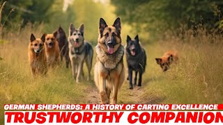 German Shepherds A History of Carting Excellence [upl. by Lindly593]