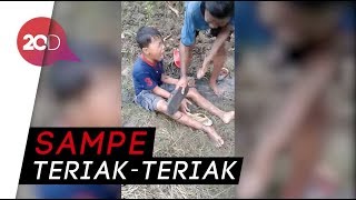 Kocak Gaya Bocah yang Panik saat Tergigit Lintah [upl. by Ymmak]