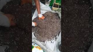 Soil mix for indore plants gardening plants terracegardening [upl. by Ahsit]