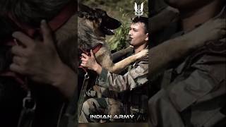 Indian Army Dog RIP 😭  indianparamilitaryforces indianarmy armydog sscgd foji shortvideo [upl. by Remled714]