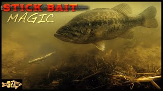 How to Fish Soft Stick Baits for Shallow Bass [upl. by Benyamin]