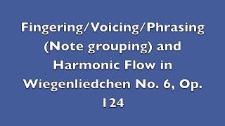 HD Tutorial Schumann Wiegenliedchen No 6 Op 124 Fingering Phrasing Rotation Harmony [upl. by Emyle]