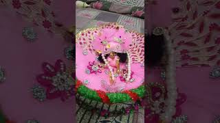 Mera 👉😍👈laddu Gopal bada pyara Lage pyara Lage bada pyara Lage👍ladu bhagti [upl. by Uri809]