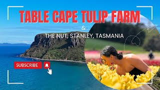 ටස්මේනියාවේ ටියුලිප් । Table Cape Tulip Farm amp The Nut Stanley Tasmania  සිංහල Vlog [upl. by Anen]