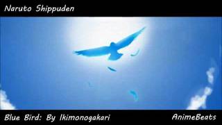 Naruto Shippuden Blue Bird Male Version [upl. by Shamus]