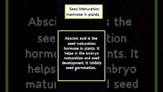 seed Maturation and hormones in plants biology [upl. by Diane-Marie50]