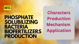 PSBPhosphate Solubilizing Bacteria BiofertilizersPhosphate Solubilization mechanismApplication [upl. by Moran]