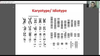 Lecture 9 karyotyping basics and beyond by Dr Ahmed Elmarghany amp Dr Mohamed Eldeeb [upl. by Laen]